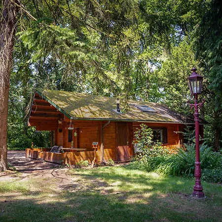 Natuurhuisje Aan Duinrand בקתה *