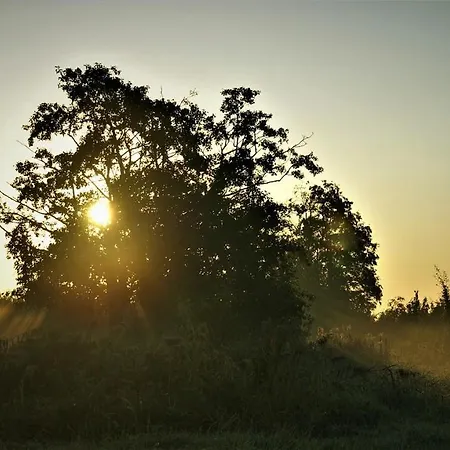 Natuurhuisje Aan Duinrand בקתה סואסט