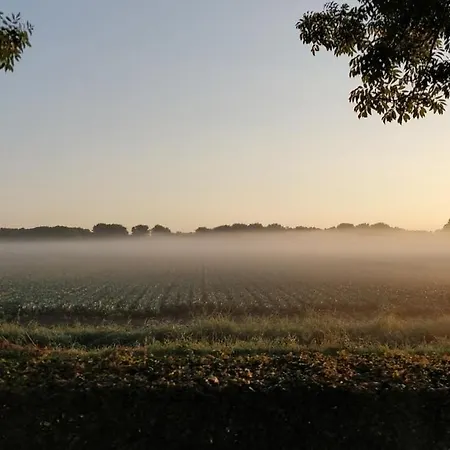 Natuurhuisje Aan Duinrand בקתה