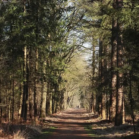 Natuurhuisje Aan Duinrand סואסט