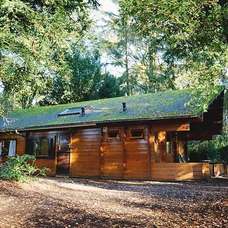 Natuurhuisje Aan Duinrand בקתה