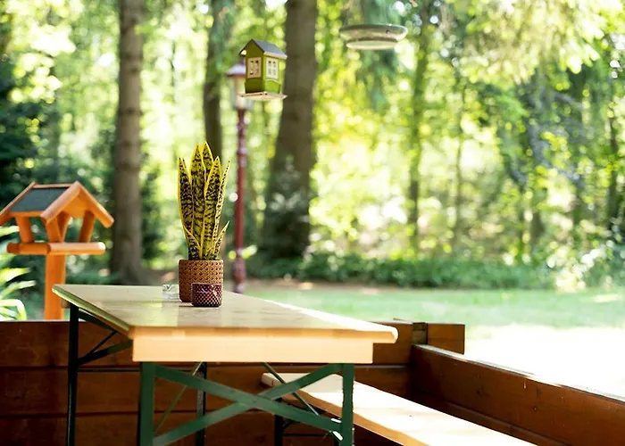 Natuurhuisje Aan Duinrand Chalet *