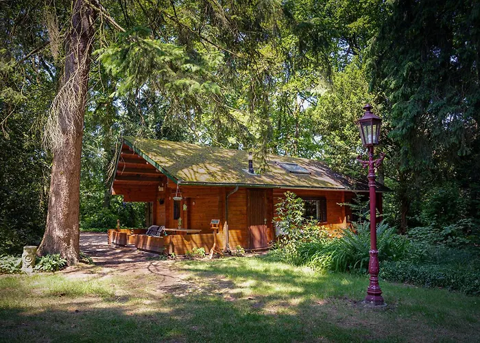 Natuurhuisje Aan Duinrand Chalet *