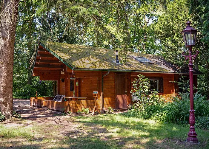 Natuurhuisje Aan Duinrand Chalet *