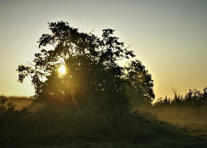 Natuurhuisje Aan Duinrand Chalet Soest