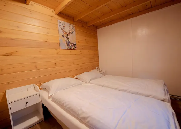 Chalet Natuurhuisje Aan Duinrand Soest