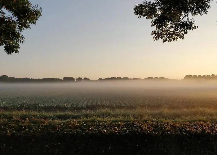 Natuurhuisje Aan Duinrand Chalet