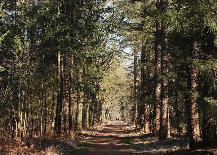 Natuurhuisje Aan Duinrand Soest