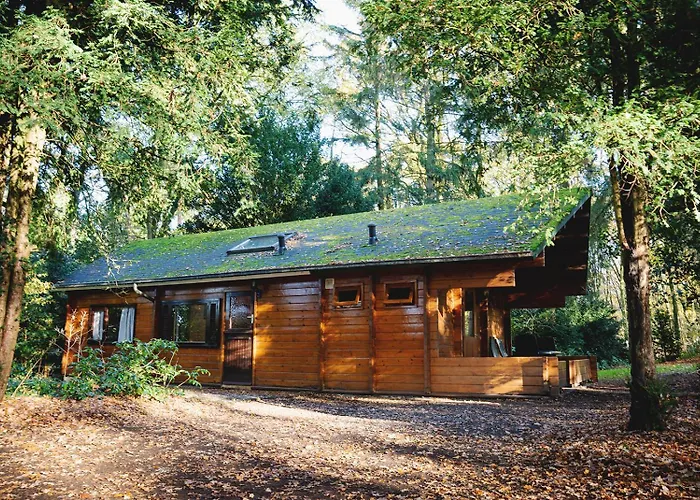 Natuurhuisje Aan Duinrand Chalet